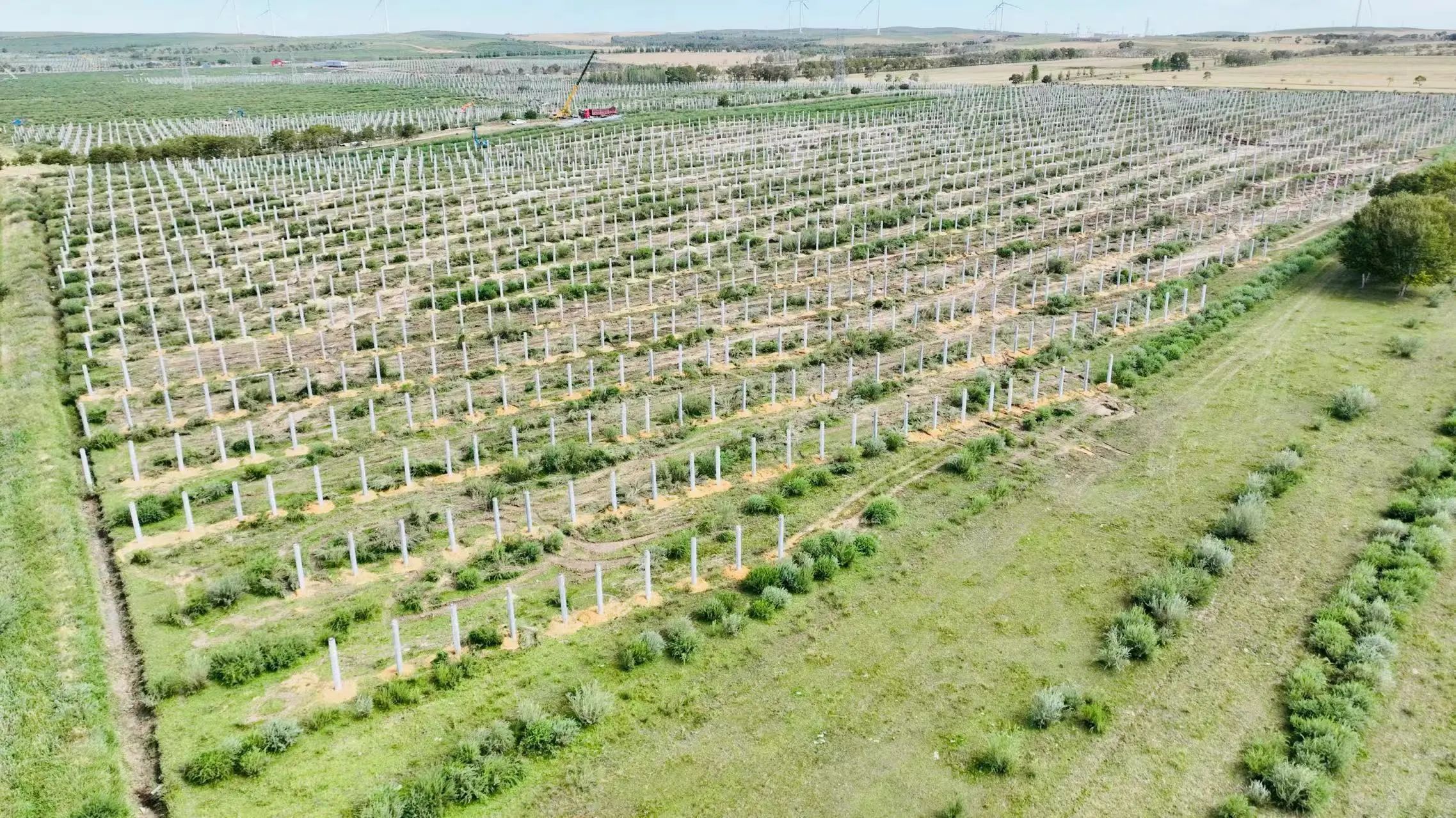 1728608640538271.jpg 微信圖片_20241011090234.jpg